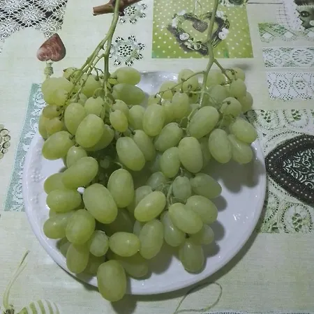 La Dimora Di Angela Hébergement de vacances *