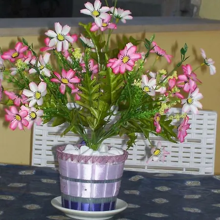 La Dimora Di Angela Raguse